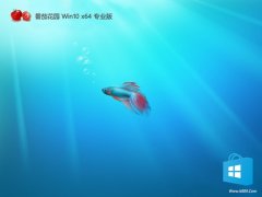 ���ѻ�԰win10����64λ���㾫ѡ��v2026.02